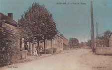 CPA 71 BOIS DU LEU CAFE DE L'ETANG