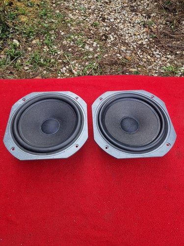 Rare paire boomers focal - rare,