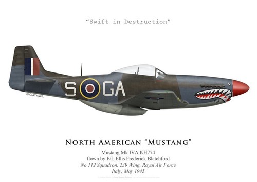 Print mustang iva - mustang, (p-51)