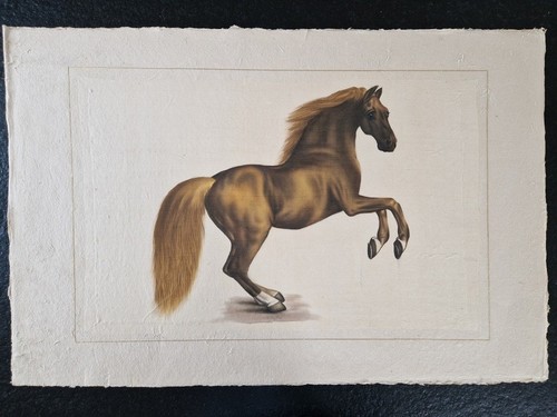 Roche laffitte 1943 - laffitte,
