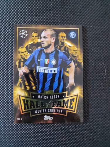 Wesley sneijder hall fame - sneijder, of