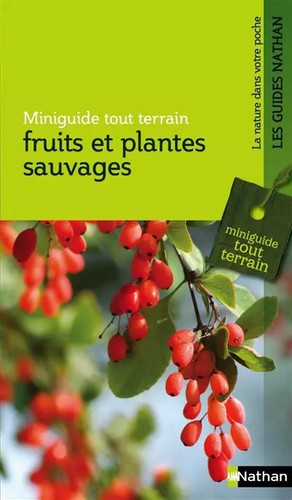 Fruits plantes sauvages - et,