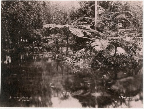 Photo poulsen albuminé - photo,
