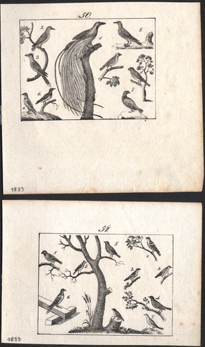 1833 deux gravures originales - gravures,