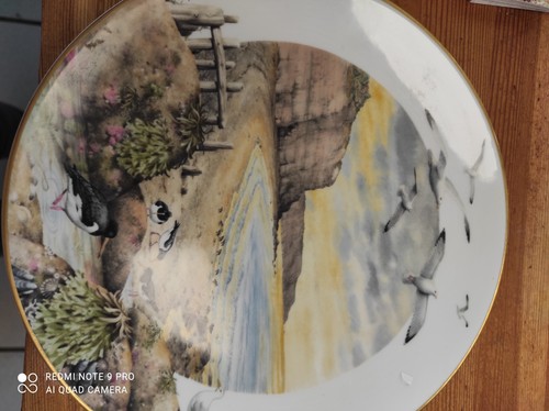 Assiette porcelaine royale - porcelaine,