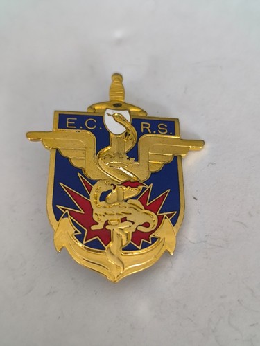 Insigne ecrs etablissement - insigne,