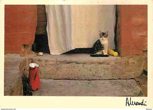 Carte postale animaux - carte,