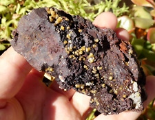 Crystals Mimetite on Hematite Congo 8x4x4.5cm Minerals Stone Collection