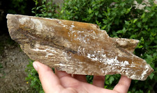 Very Large Gypsum Spear Iron 19x9cm France Minerals Stone Lithotherapy Rare