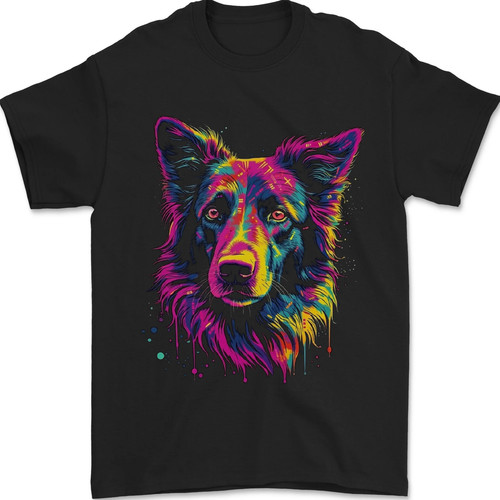 Border collie chien - border,