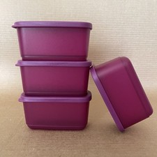 Tupperware Basic Bright Container (Set of 4) Mini Rectangle 1 Cup #8162 Rhubarb