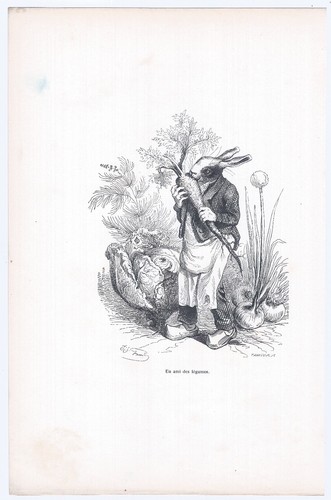 Animaux savants granville 1842 - animaux,