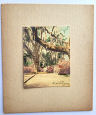 1921 COLORED PHOTO...BEAUTIFUL MAGNOLIA GARDENS NEAR CHARLESTON SOUTH CAROLINA