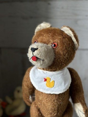 Nounours avec boîte - avec,