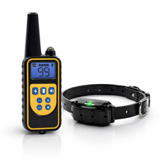 Collier électrique dressage