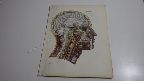 1850 lithographie couleur - .1850.lithographie,