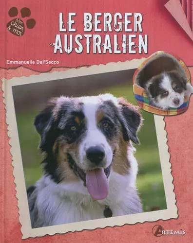 Berger australien - le,