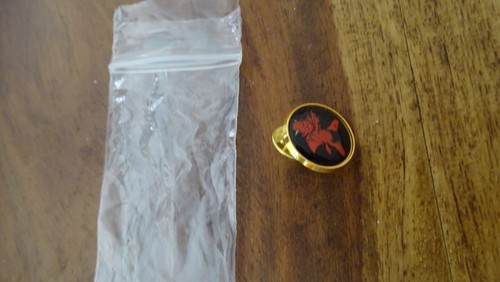 Rare collection football pins - football,