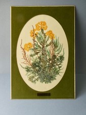 tableau, herbier, algues, signé fleurs de mer, M Leb, artisanat d'art, années 70