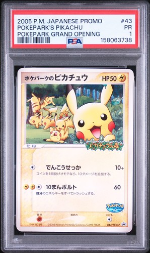 2005 pokemon japanese promo - pokemon,