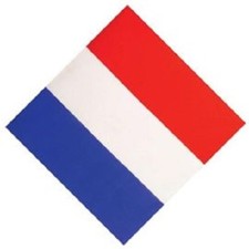 BANDANAS FRANCE TRICOLORE