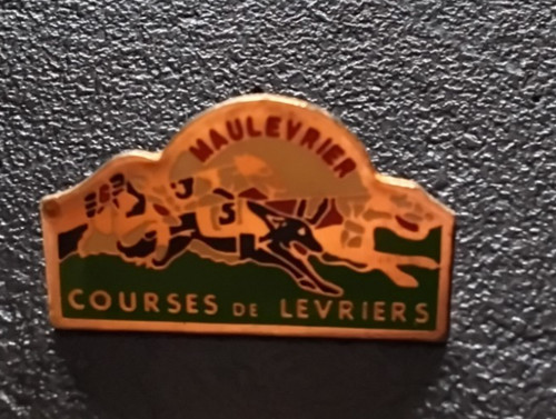 Pin chiens sport - pin’s, course