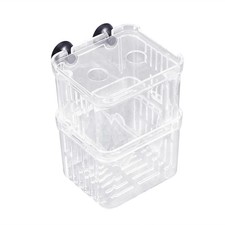 Couveuse Oeufs Boîte