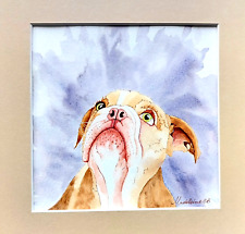 Peinture Aquarelle  originale " Bulldog Anglais " signée Madeleine CB