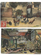 2 postcard old little chickens on the rooster farm 1908