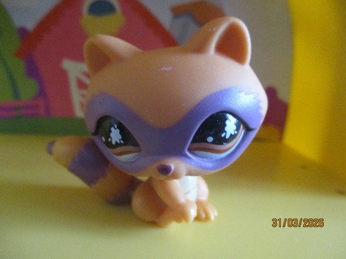 Petshop raton laveur - raton-laveur, /