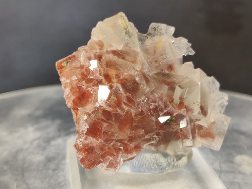 Cris fluorite incolore - cris, s