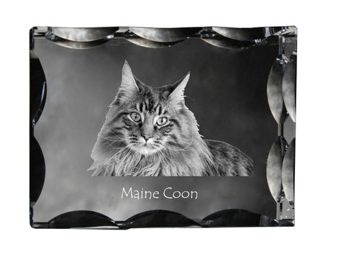 Maine coon pendentif - maine, en