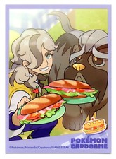 Pokemon Trainer Arven &