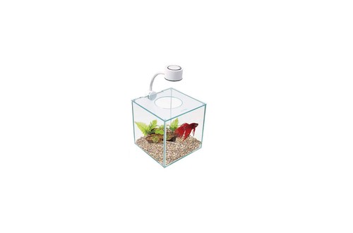 Aquarium betta kit - cubus, en