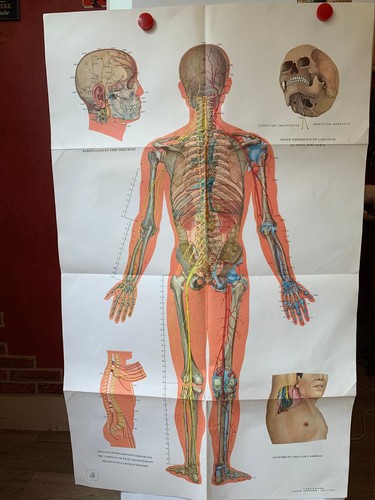 Ancienne affiche medicale - affiche,