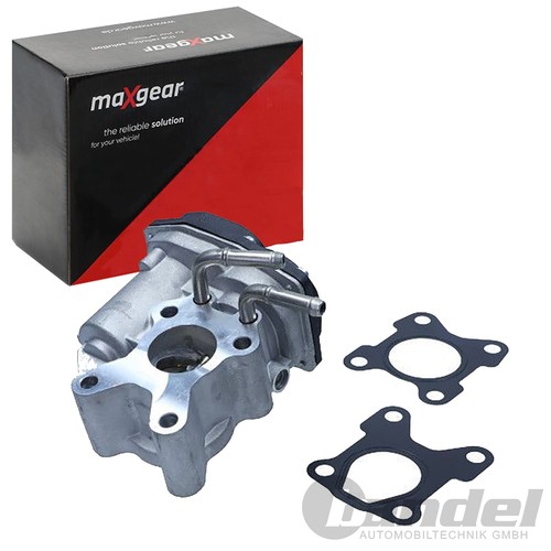 Maxgear soupape agr - maxgear, pour