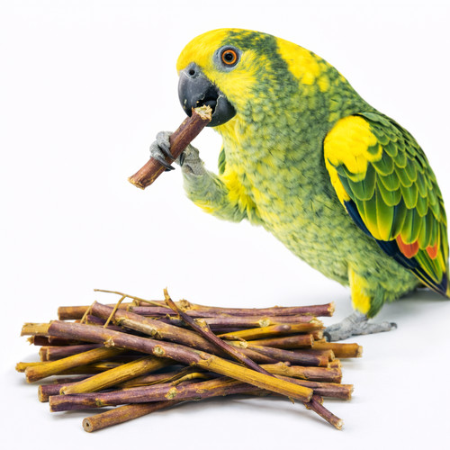 Branches framboisier - ,