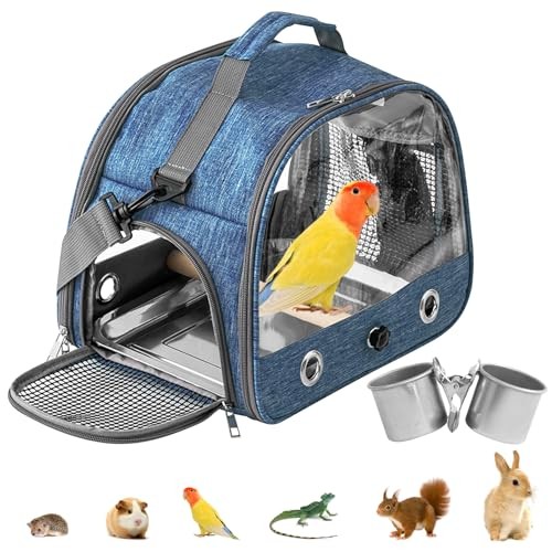 Boîte transport pour - boîte, de