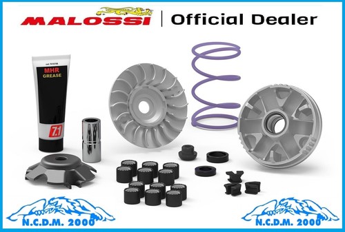 Malossi 5118238 variator - 5118238,