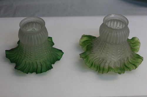 Tulipes verre opaque - tulipes,