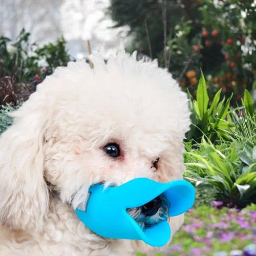 Muselière pour chien avec