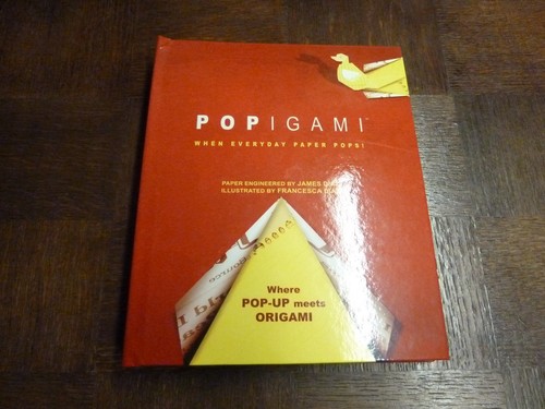 Popigami james diaz livre - james,