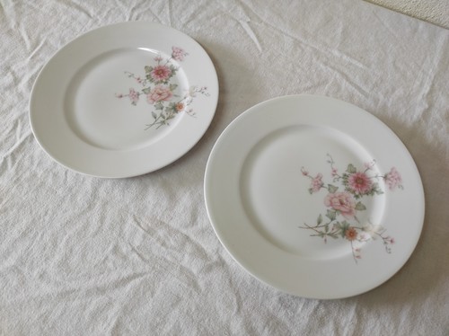Anciennes assiettes plates - 2,