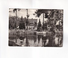 F466) GRUMBACH Erzgebirge-VILLAGE POND-