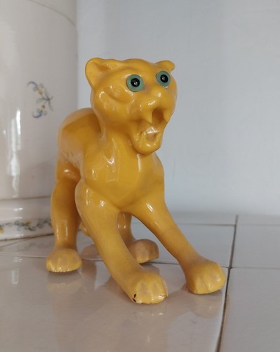 Chat yeux sulfure - chat, en