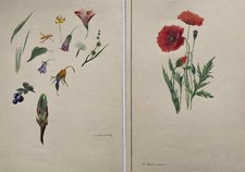 Dessins en Couleur 2 Pièce