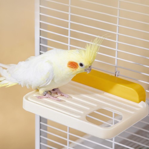 Plateforme pour oiseaux lot - plateforme,