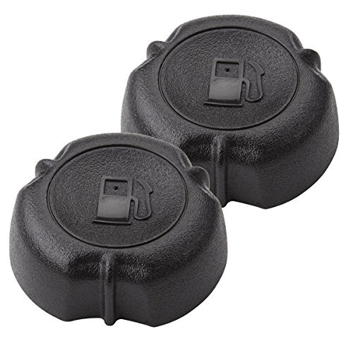 Briggs stratton 2 pack - stratton,