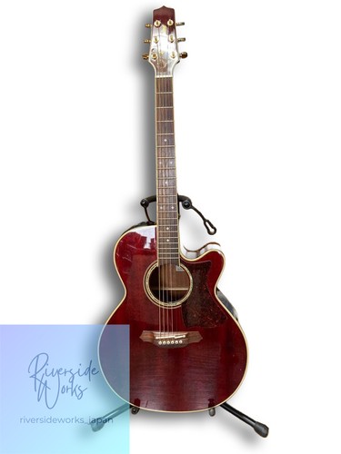 Guitare électrique acoustique