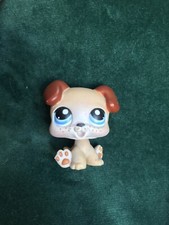 💖🌺Petshop CHIEN  Boxer